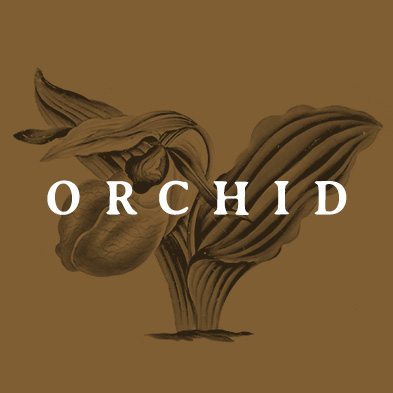 Orchid: Coming Soon
